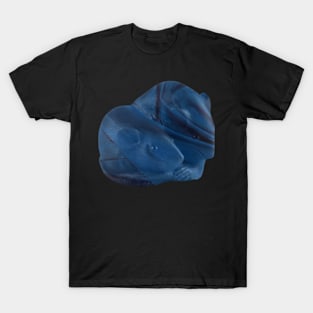 Rats in blue T-Shirt